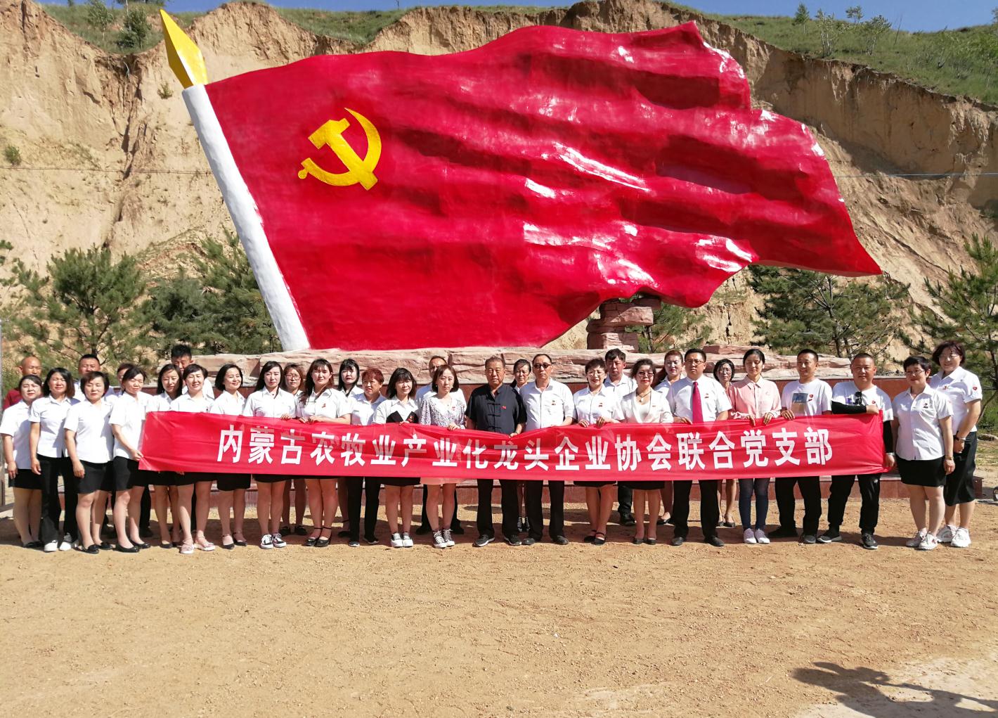 內(nèi)蒙古農(nóng)牧業(yè)產(chǎn)業(yè)化龍頭企業(yè)協(xié)會走進(jìn)石人灣村開展“辦實事、解難題，送溫暖，傳黨恩”公益活動